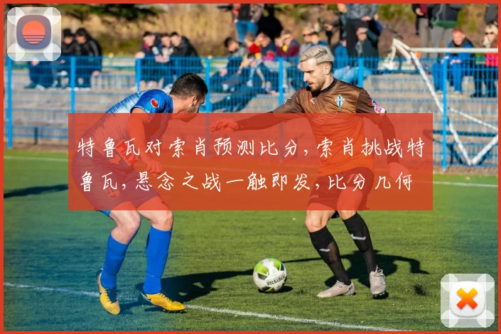 特鲁瓦对索肖预测比分,索肖挑战特鲁瓦,悬念之战一触即发,比分几何